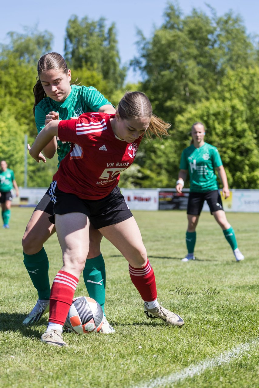 Bild 119 - F SG NieBar - IF Stjernen Flensborg : Ergebnis: 2:0
